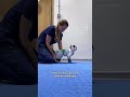 Watch this paralyzed kitty learn to walk again 🥹🥹 #shorts #vetphysio #cat #pets #catlover #cats