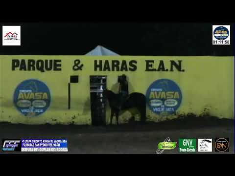 IV' ETAPA CIRCUITO AVASA DE VAQUEJADA PQ EAN PEDRO VELHO-RN