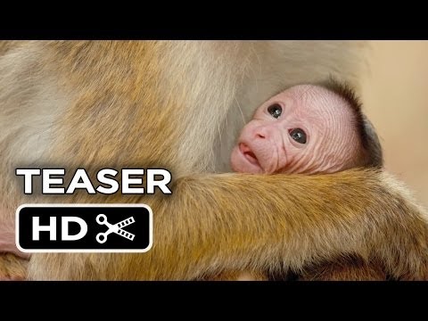 Monkey Kingdom (2015) Teaser