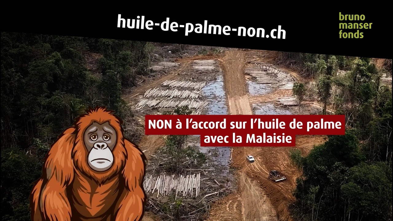 NON à l’accord sur l’huile de palme avec la Malaisie! SIGNEZ le référendum!