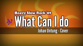 Download lagu What Can I Do - Johan Untung (cover) mp3