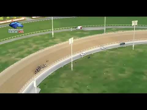 Rebel's Romance (IRE) - 2021 UAE Derby (Aerial View)