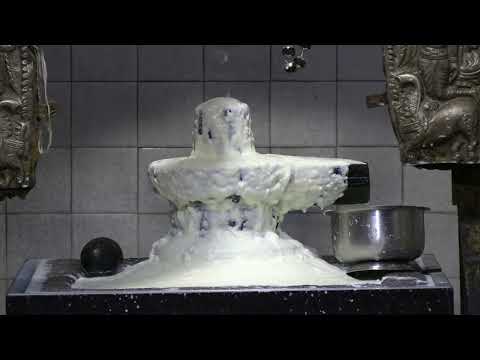 Kashi Vishwanatha Swamy Abhishekam / Kashi Vishwanatha Temple / swami rupam