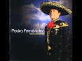 Me encantas- Pedro fernandez