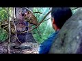 The Cursed Jungle Full Movie Horror