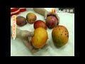 芒果熟成怎分辨？挑著吃有技巧