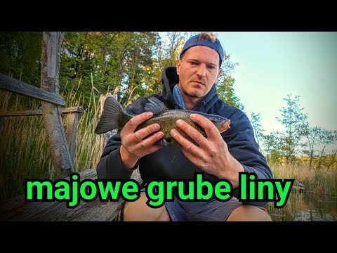 Jak złowić pierwszego majowego lina na spławik #fishing