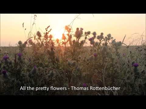 All the pretty flowers - Thomas Rottenbücher
