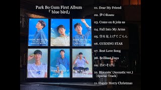 Download lagu Park Bo Gum - 1st Album 『 blue bird 』 mp3