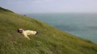 Tom Rosenthal - Sex, Death &amp; Landscapes (Official Music Video)