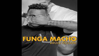 Funga Macho by Bruce melody (Official audio 2022)