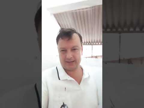 Ética: moral, imoral e amoral