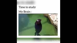 My brain during study part #2 🤣🤣 funny memes