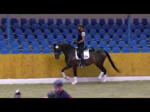 St v Sezuan x Fidertanz x Rubinstein I 2019