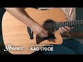 Ibanez AAD170CE Acoustic Guitar