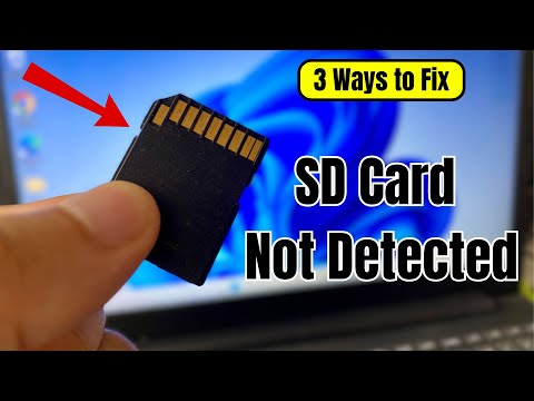 SD card Not Showing Up on Windows 11 - (3 Ways to Fix)