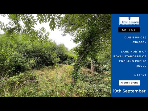 Clive Emson September Auction Feature Lot 178