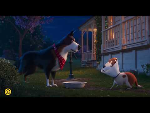 A kis kedvencek titkos élete 2 - Kakas kutya tanácsai - magyar nyelvű filmklip