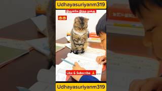 Download lagu cat mindvoice 😂 #cat #catlovers #trending #shortsfeed #funny #funnypet #comedy mp3