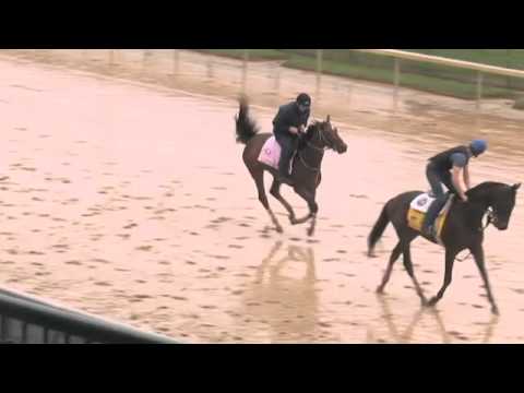 Kentucky Oaks Backside Buzz with Jill Byrne 5.2.11