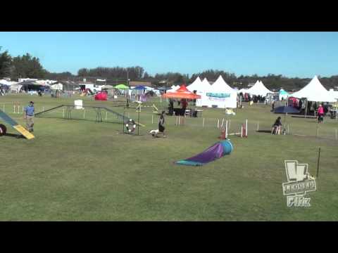 Starters Standard 12" - 2015-09-07