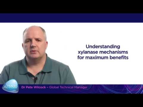 Svelendu a scienza daretu à Xelliss PhycoSci X20