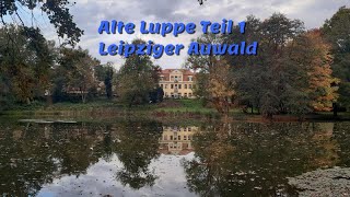 Alte Luppe Teil 1 Leipziger Auwald