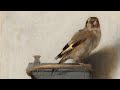 The Goldfinch But It S Just Boreo Playlist