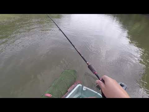 ELHÚZTA A CSÓNAKOT IS A PONTY...+ fárasztás +szákolás..FHD...RIVER CARP RUN