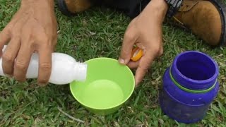 Download lagu tricks to attract birds using sticky rice glue but the bird's feathers are not damaged mp3