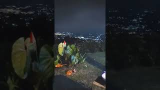 Download lagu INDAH BANGET | SUASANA MALAM PUNCAK CISARUA BOGOR #shorts mp3 Download lagu INDAH BANGET | SUASANA MALAM PUNCAK CISARUA BOGOR #shorts mp3