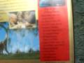 JURASSIC PARK COLLECTOR S EDITION DVD REVIEW