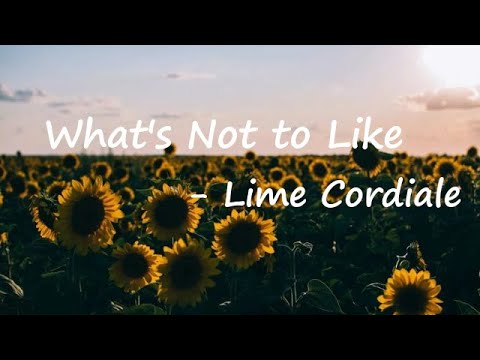 Cordi Elba - What's Not To Like Lyrics