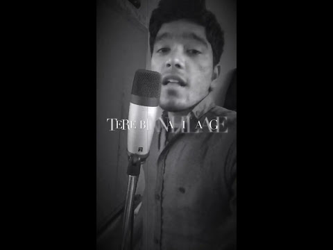 Tere Bin Nahi Lage Cover