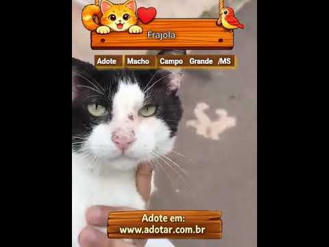 Vídeo de Frajola