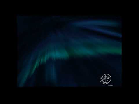 [FREE] Architrackz & Bryan Mg & Wawa Type Beat: 'You know'| Prod. Palm Production (2021)