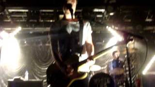 White Lies - Taxidermy