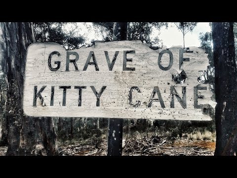 Victor Cripes - The Grave of Kitty Cane (OFFICIAL Music Video)
