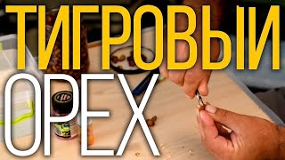 Ссылка