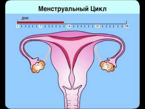 Как удалить соли в суставах Как снять боль в пояснице с правой стороны