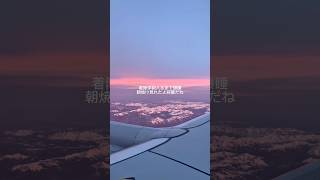 日本行きのフライトの様子　#航空業界 #外資系 #フライト #travel #japan #tokyo