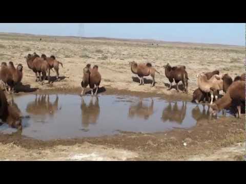Innamongolia, China. 中國內蒙古巴丹古林沙漠.