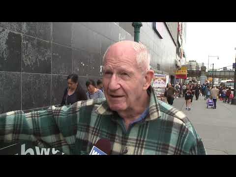 NY Primary Elections