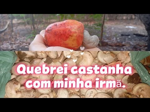 Casa da minha irmã, no Olho d,Água do Piauí/ Quebrei castanha com ela.