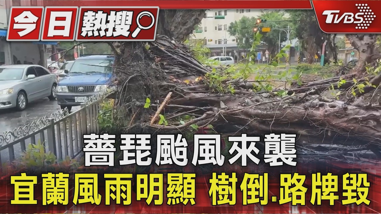 薔琵颱風來襲 宜蘭風雨明顯 樹倒.路牌毀