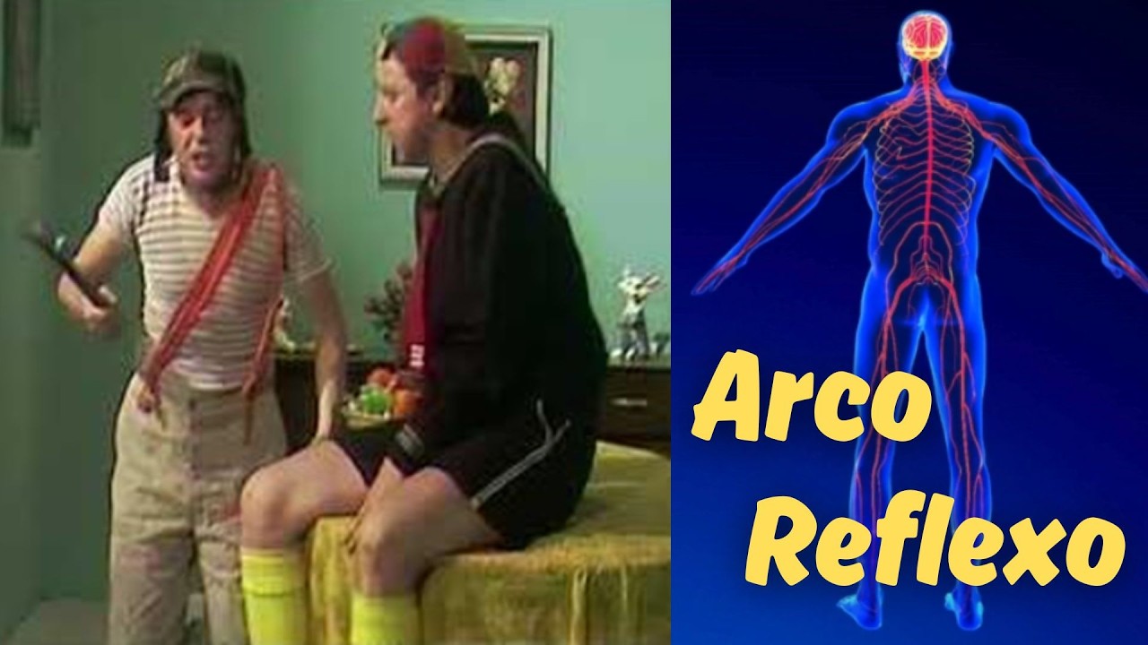 Arco reflexo (Ato reflexo) da medula espinhal
