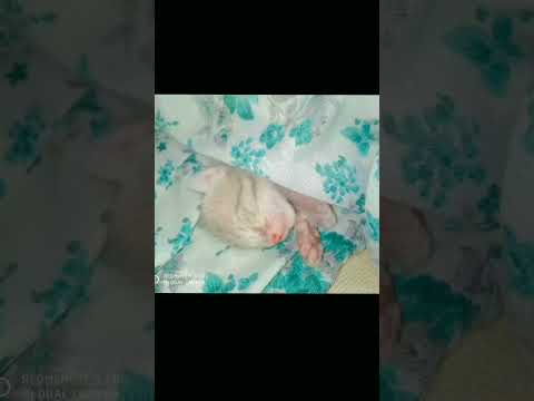 my cute jaggi ❤️❤️❤️❤️