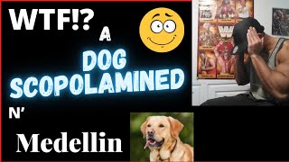 Medellin - They Stealing Dogs  | Colombia Crime