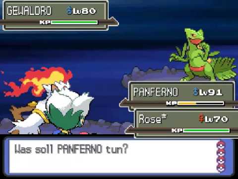 Pokemon Bloody Platinum [68] - Siegesstrasse of Doom