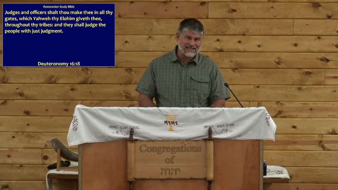 The Foundation & The Body